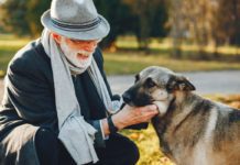 Beneficios de los perros en adultos mayores