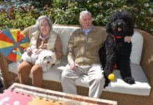 Terapia Asistida con Perros Ballesol residencias de mayores