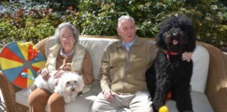 Terapia Asistida con Perros Ballesol residencias de mayores